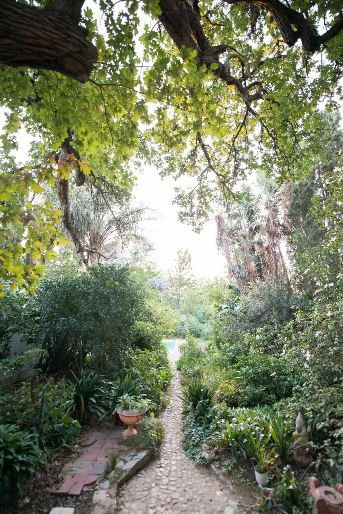 Tulbagh Country Guest House - Cape Dutch Quarters Extérieur photo